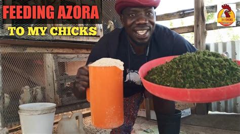 azora youtube